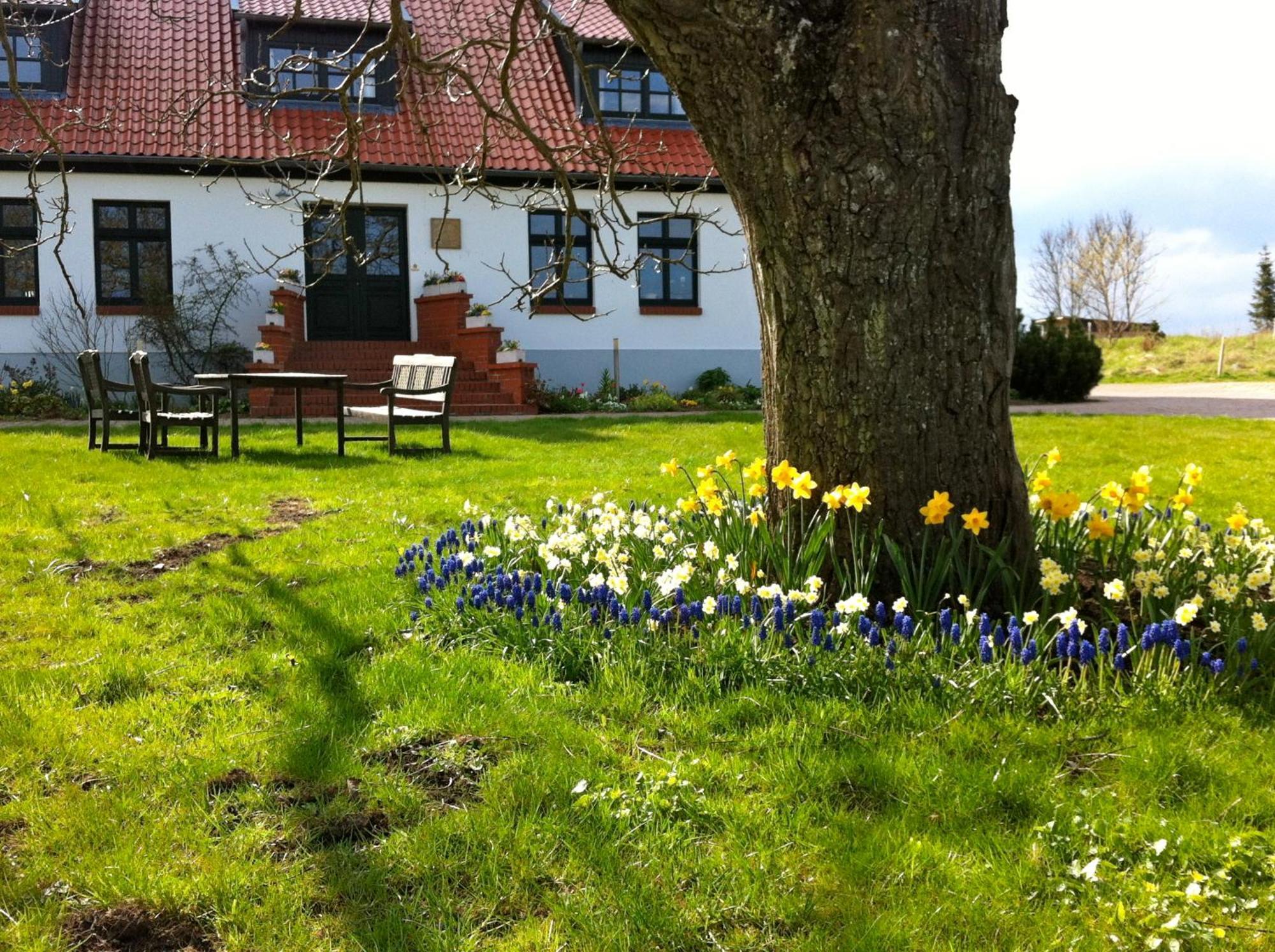 Gutshaus Ketelshagen Hotel Putbus Exterior photo